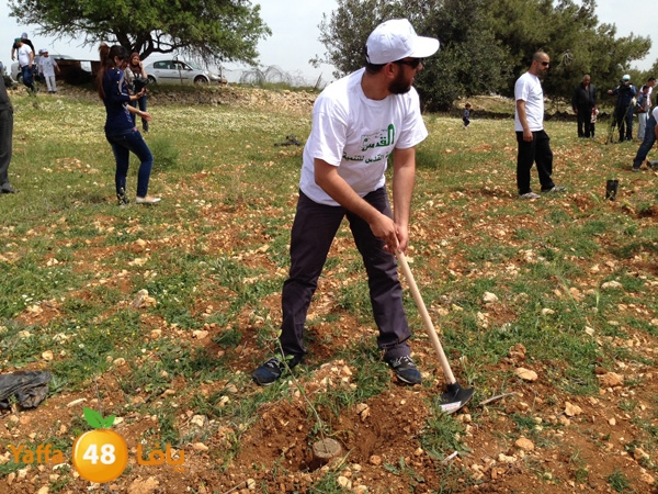 ludandyaffazaitoon (8).JPG